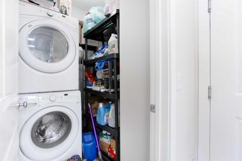 2406-302 Skyview Ranch Drive Ne, Calgary, AB - Indoor Photo Showing Laundry Room