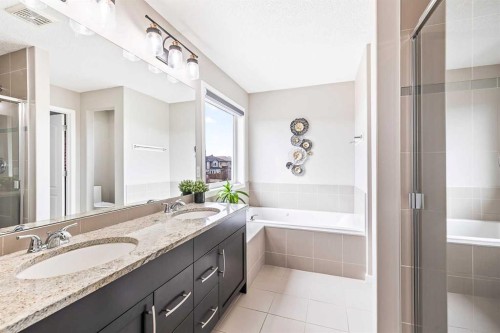 66 Skyview Point Rise Ne, Calgary, AB - Indoor Photo Showing Bathroom