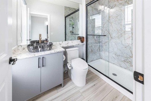 66 Skyview Point Rise Ne, Calgary, AB - Indoor Photo Showing Bathroom