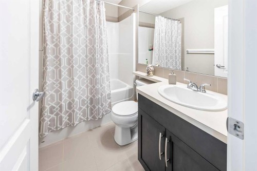 66 Skyview Point Rise Ne, Calgary, AB - Indoor Photo Showing Bathroom