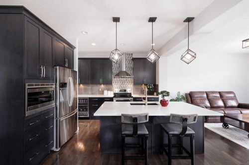 66 Skyview Point Rise Ne, Calgary, AB - Indoor Photo Showing Kitchen With Upgraded Kitchen