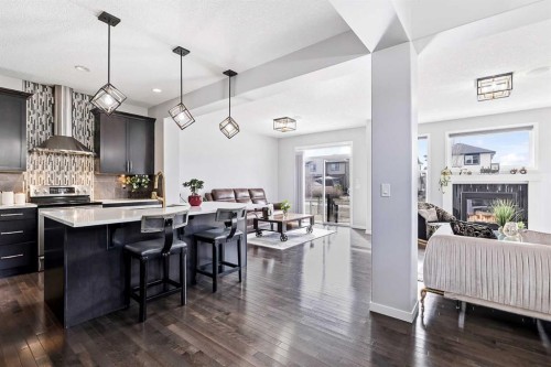 66 Skyview Point Rise Ne, Calgary, AB - Indoor