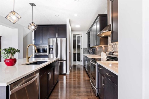 66 Skyview Point Rise Ne, Calgary, AB - Indoor Photo Showing Kitchen With Upgraded Kitchen