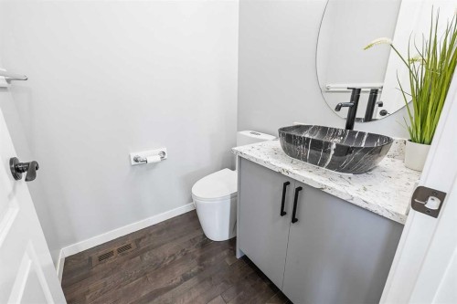 66 Skyview Point Rise Ne, Calgary, AB - Indoor Photo Showing Bathroom