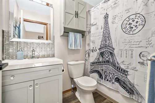 18 Green Meadow Crescent, Strathmore, AB - Indoor Photo Showing Bathroom