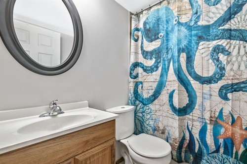 18 Green Meadow Crescent, Strathmore, AB - Indoor Photo Showing Bathroom