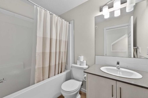 340 Cranbrook Square Se, Calgary, AB - Indoor Photo Showing Bathroom