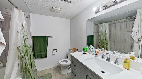 11723 Canfield Road Sw, Calgary, AB - Indoor Photo Showing Bathroom
