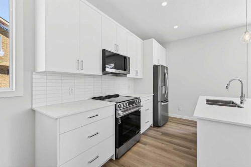 838-132 Red Embers Link Ne, Calgary, AB - Indoor Photo Showing Kitchen With Stainless Steel Kitchen With Double Sink With Upgraded Kitchen