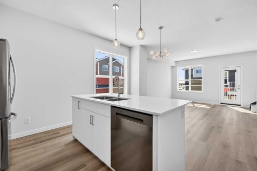 838-132 Red Embers Link Ne, Calgary, AB - Indoor Photo Showing Kitchen With Double Sink