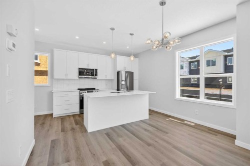 838-132 Red Embers Link Ne, Calgary, AB - Indoor Photo Showing Kitchen With Stainless Steel Kitchen With Upgraded Kitchen