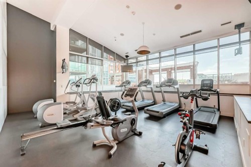 502-210 15 Avenue Se, Calgary, AB - Indoor Photo Showing Gym Room