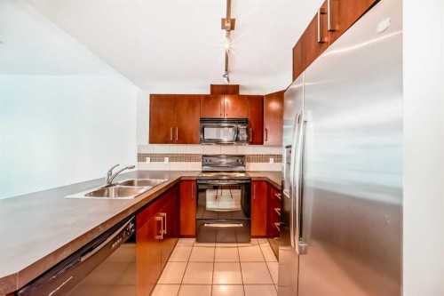 502-210 15 Avenue Se, Calgary, AB - Indoor Photo Showing Kitchen With Double Sink