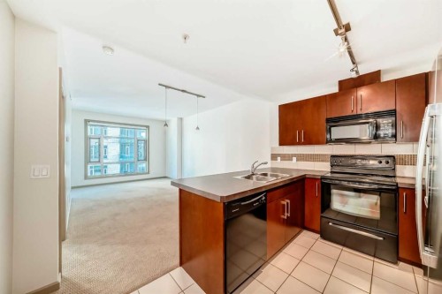 502-210 15 Avenue Se, Calgary, AB - Indoor Photo Showing Kitchen With Double Sink