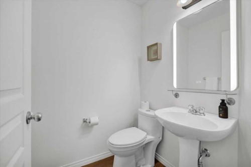 1009 Channelside Way Sw, Airdrie, AB - Indoor Photo Showing Bathroom