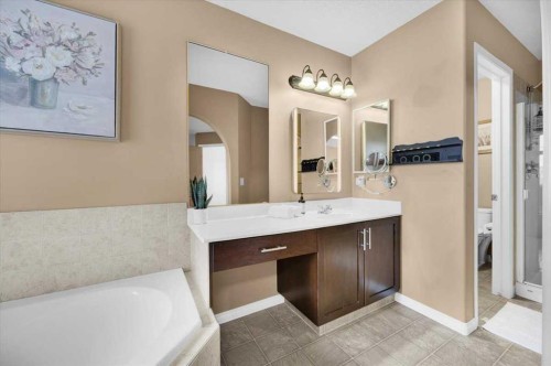 1009 Channelside Way Sw, Airdrie, AB - Indoor Photo Showing Bathroom