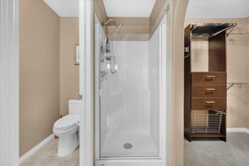 1009 Channelside Way Sw, Airdrie, AB - Indoor With Storage