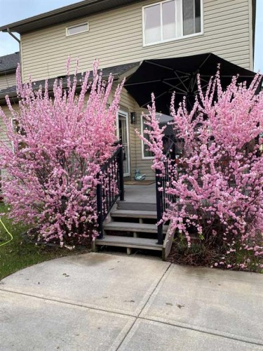 2 Elgin Meadows Green Se, Calgary, AB - Outdoor