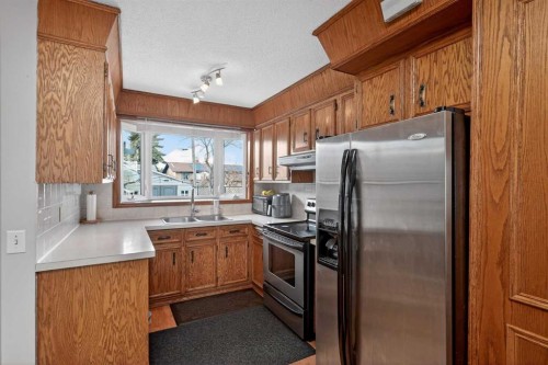 255 Penmeadows Close Se, Calgary, AB - Indoor Photo Showing Kitchen With Stainless Steel Kitchen With Double Sink