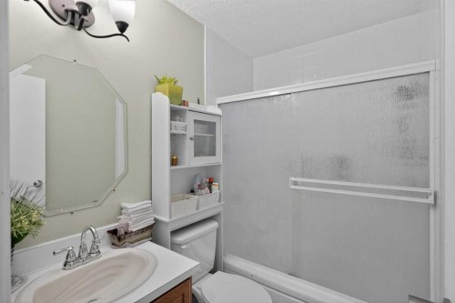255 Penmeadows Close Se, Calgary, AB - Indoor Photo Showing Bathroom