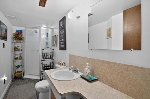 255 Penmeadows Close Se, Calgary, AB - Indoor Photo Showing Bathroom