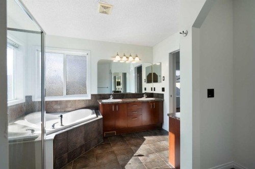 231 Hawkmere Road, Chestermere, AB - Indoor Photo Showing Bathroom