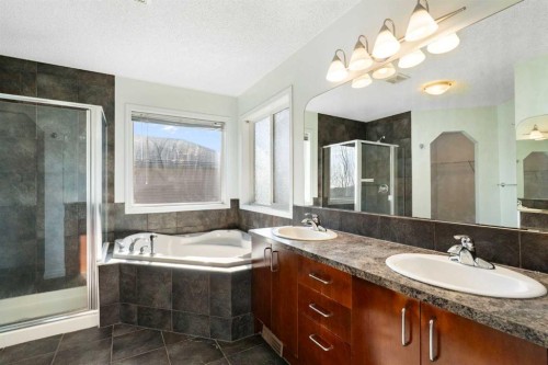 231 Hawkmere Road, Chestermere, AB - Indoor Photo Showing Bathroom