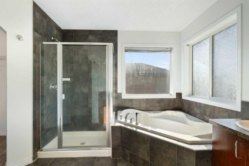 231 Hawkmere Road, Chestermere, AB - Indoor Photo Showing Bathroom
