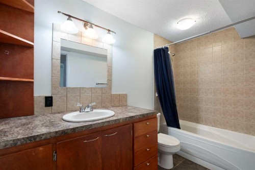 231 Hawkmere Road, Chestermere, AB - Indoor Photo Showing Bathroom