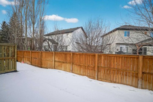 260 Stonemere Place, Chestermere, AB - Outdoor