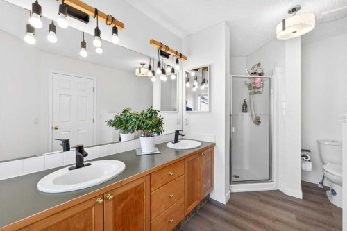 502 Panamount Boulevard Nw, Calgary, AB - Indoor Photo Showing Bathroom