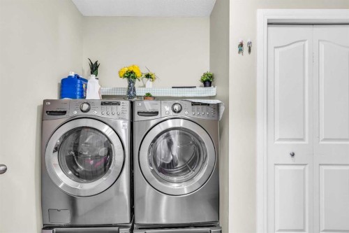 269 West Creek Boulevard, Chestermere, AB - Indoor Photo Showing Laundry Room