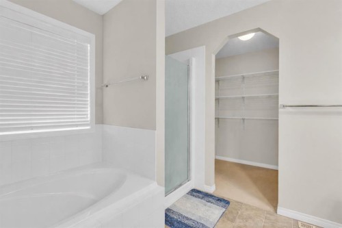 269 West Creek Boulevard, Chestermere, AB - Indoor Photo Showing Bathroom