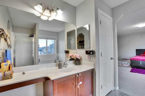 269 West Creek Boulevard, Chestermere, AB - Indoor Photo Showing Bathroom