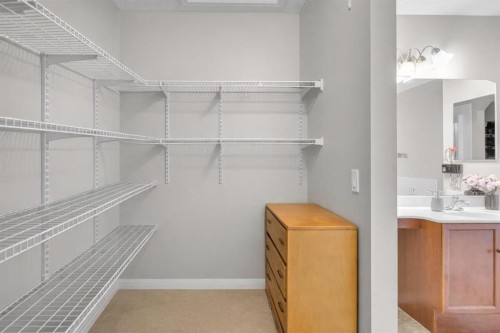 269 West Creek Boulevard, Chestermere, AB - Indoor With Storage