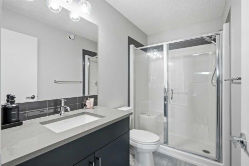 49 Lucas Grove Nw, Calgary, AB - Indoor Photo Showing Bathroom