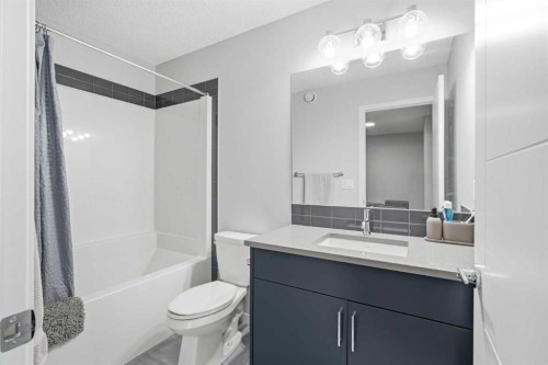 49 Lucas Grove Nw, Calgary, AB - Indoor Photo Showing Bathroom