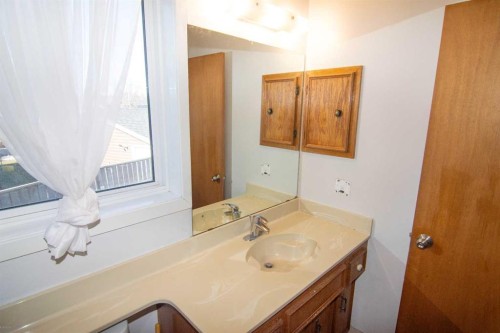 27 Taraglen Court Ne, Calgary, AB - Indoor Photo Showing Bathroom