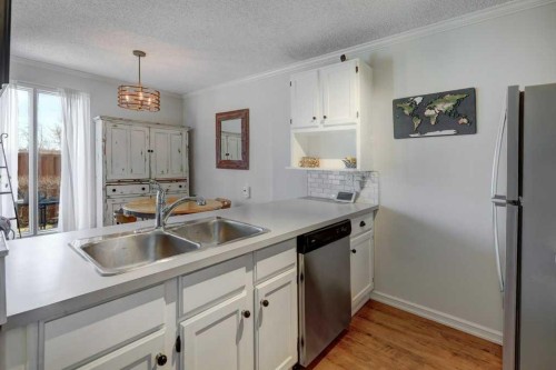 3-101 Grier Terrace Ne, Calgary, AB - Indoor Photo Showing Kitchen With Double Sink