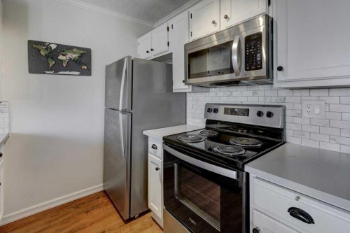 3-101 Grier Terrace Ne, Calgary, AB - Indoor Photo Showing Kitchen