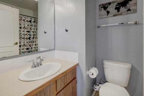 3-101 Grier Terrace Ne, Calgary, AB - Indoor Photo Showing Bathroom