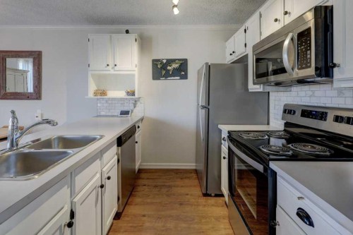 3-101 Grier Terrace Ne, Calgary, AB - Indoor Photo Showing Kitchen With Double Sink