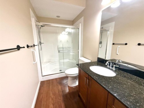 501 Sunvale Crescent Ne, High River, AB - Indoor Photo Showing Bathroom