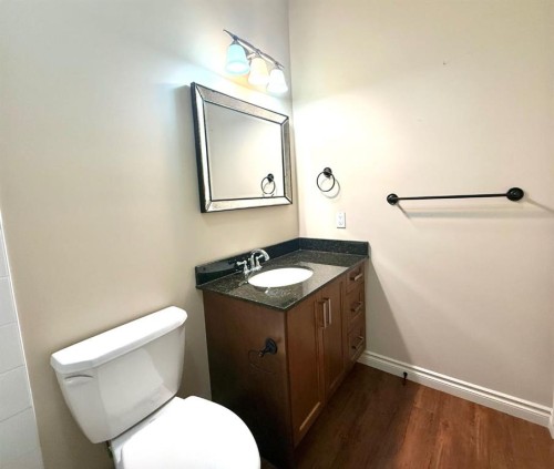501 Sunvale Crescent Ne, High River, AB - Indoor Photo Showing Bathroom