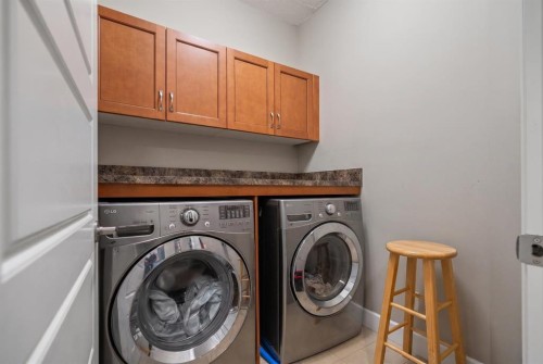 209 Cityscape Gardens Ne, Calgary, AB - Indoor Photo Showing Laundry Room