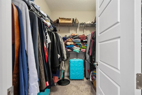 209 Cityscape Gardens Ne, Calgary, AB - Indoor With Storage