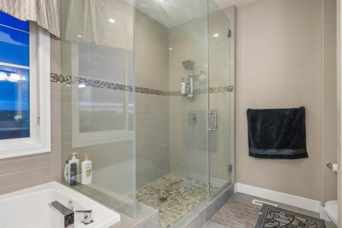 209 Cityscape Gardens Ne, Calgary, AB - Indoor Photo Showing Bathroom