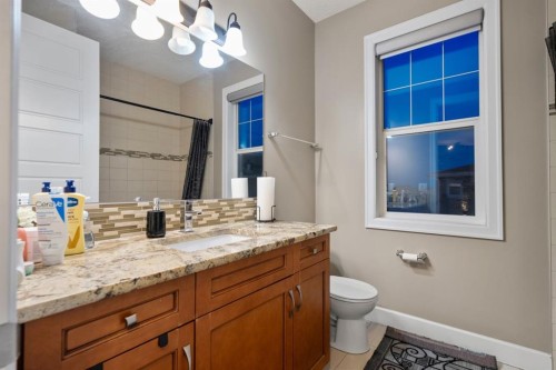 209 Cityscape Gardens Ne, Calgary, AB - Indoor Photo Showing Bathroom