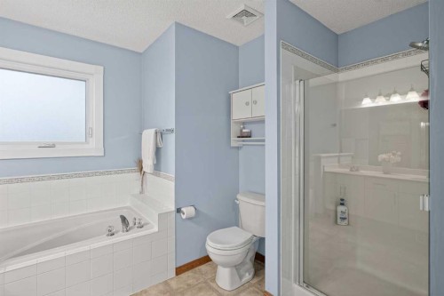 112 West Creek Close, Chestermere, AB - Indoor Photo Showing Bathroom