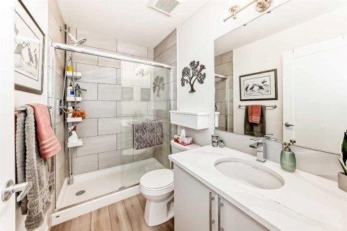 52 Walden Lane Se, Calgary, AB - Indoor Photo Showing Bathroom
